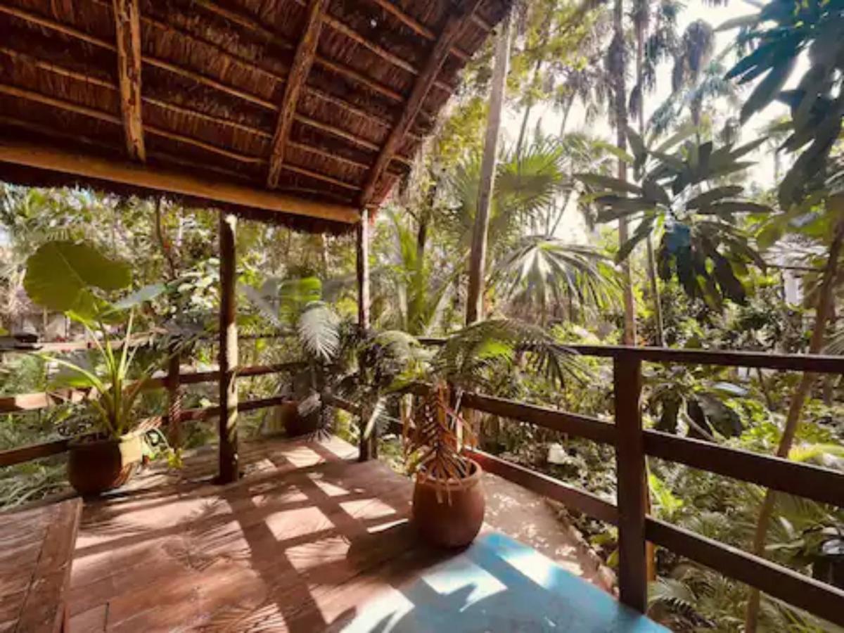 Готель Dos Ceibas Tulum - Massage & Yoga Inclusive Екстер'єр фото