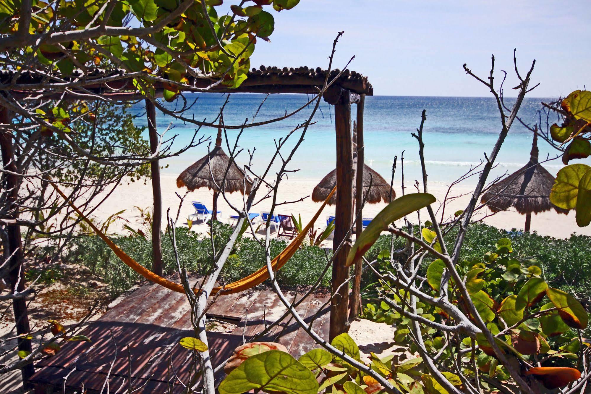 Готель Dos Ceibas Tulum - Massage & Yoga Inclusive Екстер'єр фото